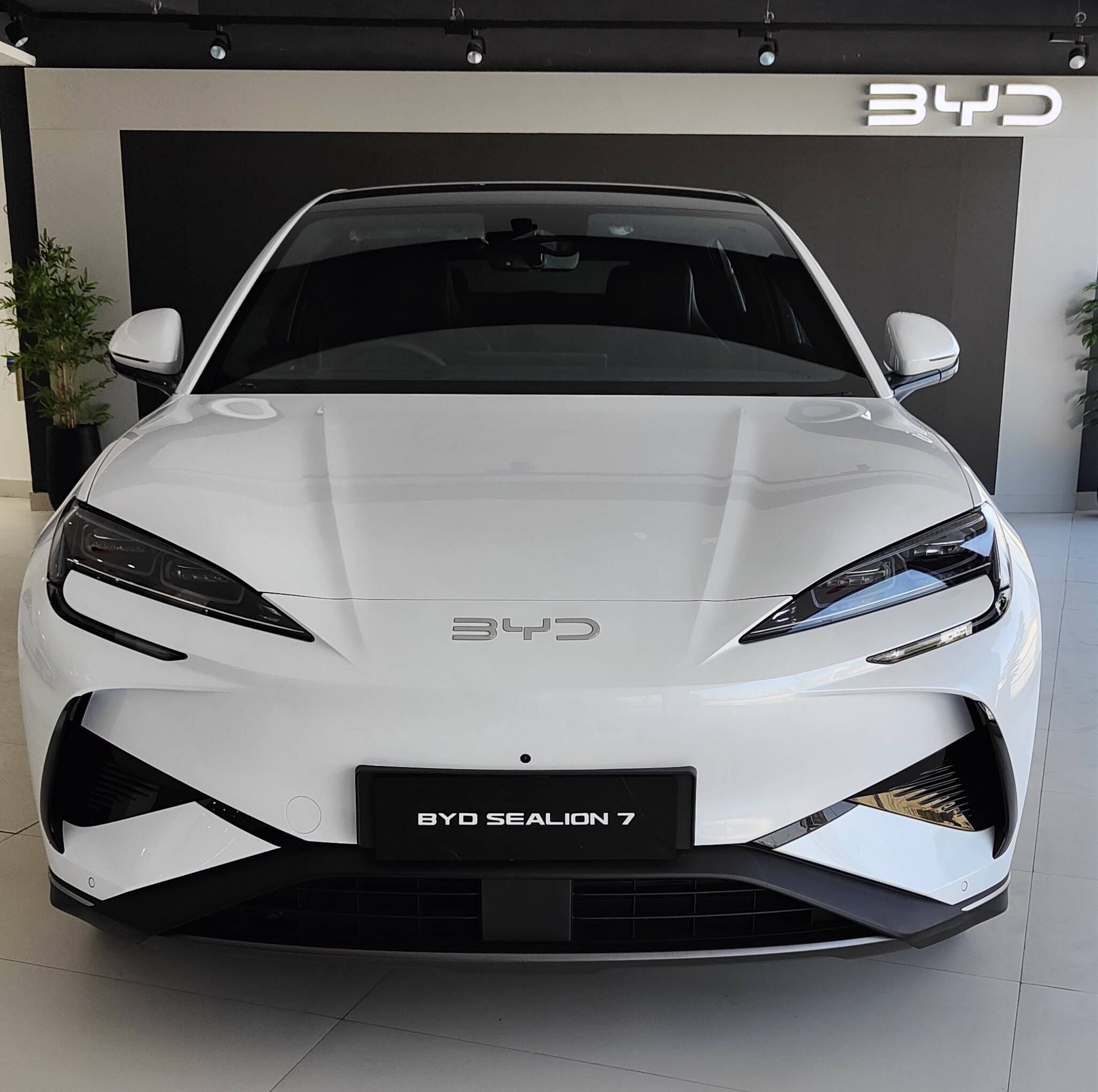 BYD Sealion 7
